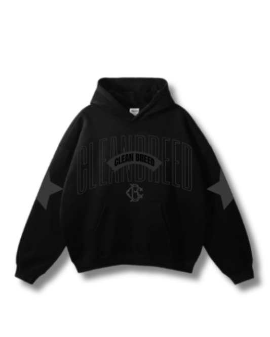 Clean Breed As Fly As The Stars Premium Heavyweight Hoodie