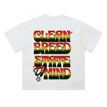 Clean Breed Clean State Of Mind Heavyweight Drop Shoulder Cotton T-Shirt